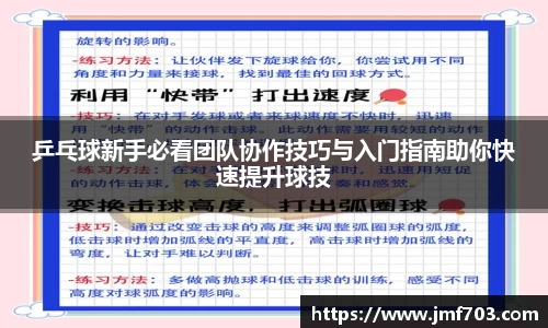 乒乓球新手必看团队协作技巧与入门指南助你快速提升球技